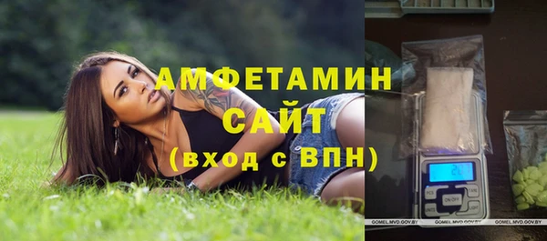 сатива Нефтекумск