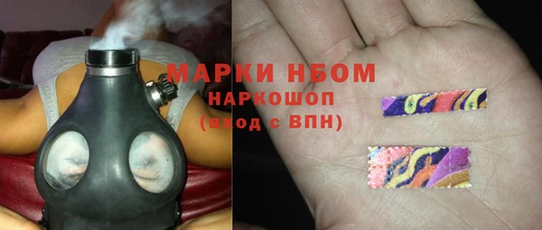 сатива Нефтекумск