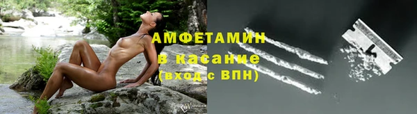 сатива Нефтекумск