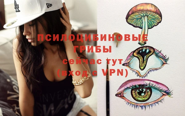 прущая мука Нея