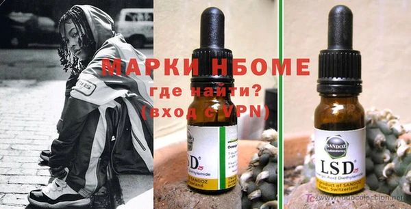 сатива Нефтекумск