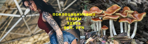 прущая мука Нея