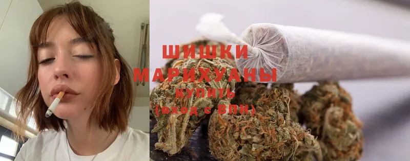 Бошки марихуана Bruce Banner  Правдинск 