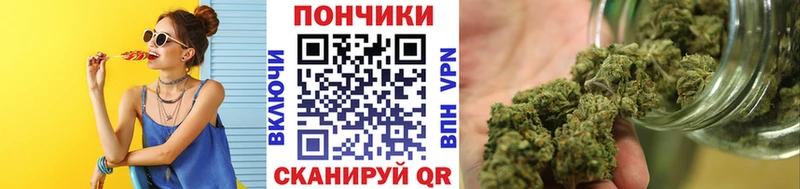 продажа наркотиков  Правдинск  hydra вход  Конопля SATIVA & INDICA 